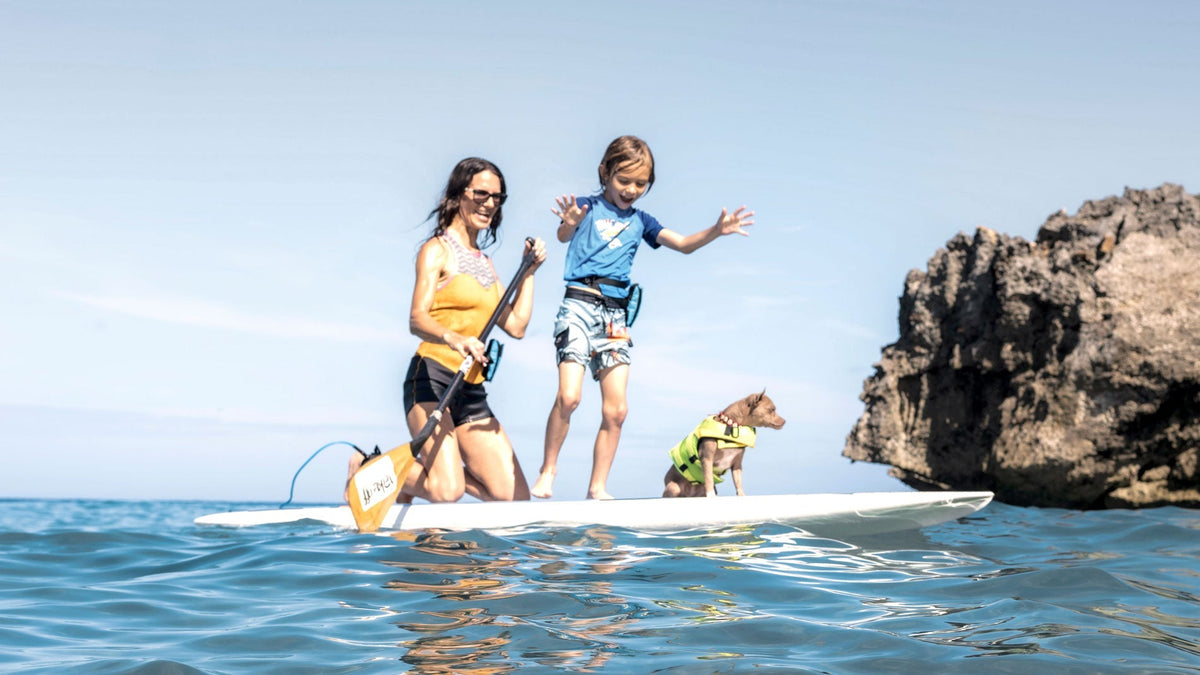 Family on a stand up paddle board with a dog